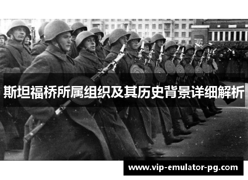 斯坦福桥所属组织及其历史背景详细解析